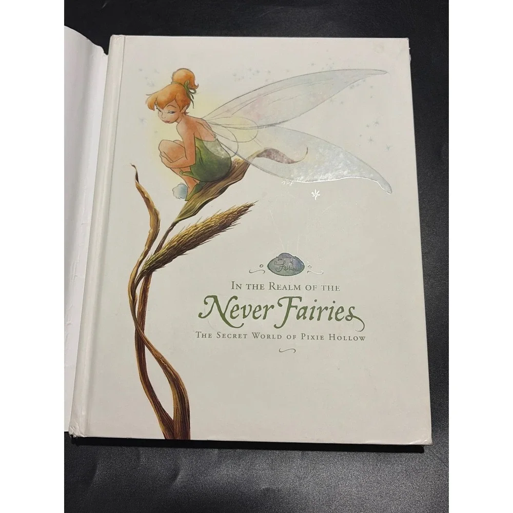 Disney In the Realm of the Never Fairies Pixie Hollow 1st Ed Tinker Bell HC DJ